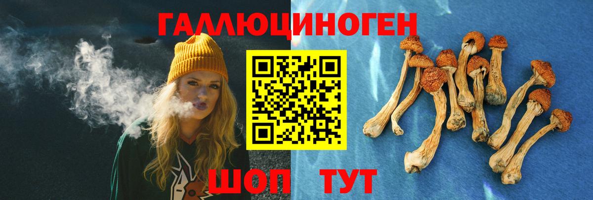 Галлюциногенные грибы Psilocybe  Вход с VPN  Галлюциногенные грибы прущие грибы  Коммунар 